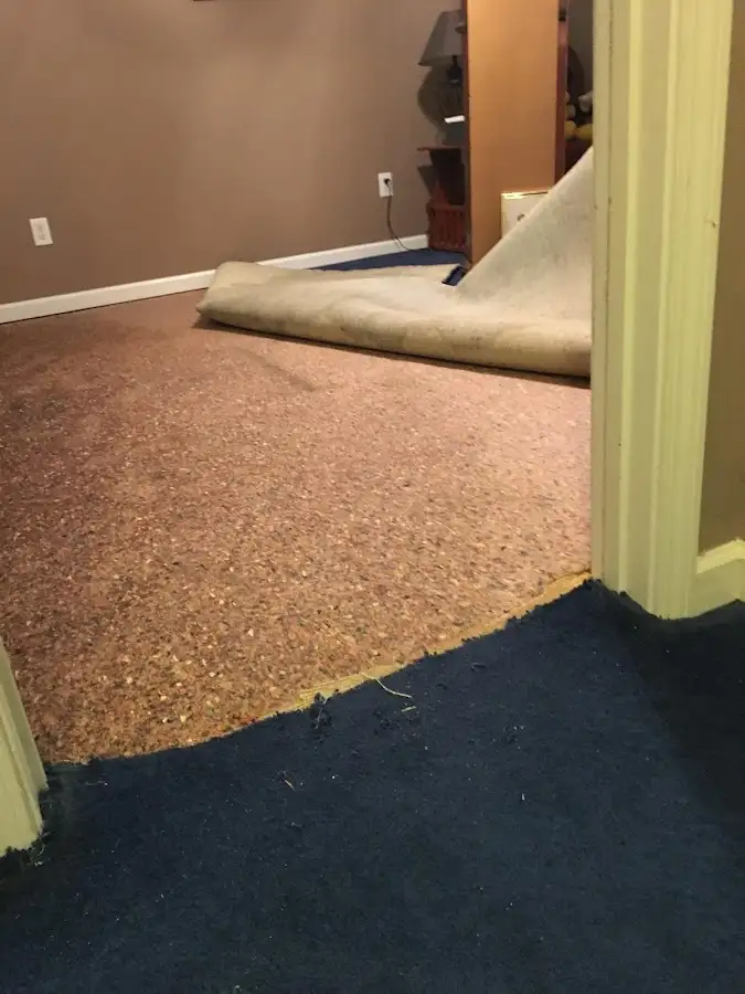 Carpet pad removal revealing water damage during Drying & Dehumidification in Berwick